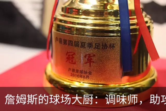 詹姆斯的球场大厨：调味师，助攻大师，完美搭配你的篮球晚餐